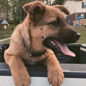 Meet your Posher, Addy